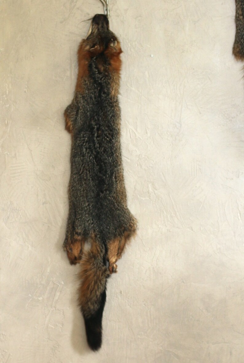 Gray Fox Pelt Fox Skin Fur | Etsy