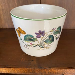 May include: White ceramic plant pot with a green rim and botanical illustrations. The design features a butterfly, purple violets, and green leaves. The text "Viola Odorata" is printed on the pot.