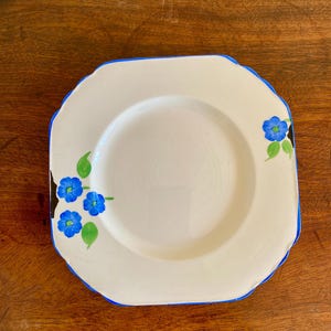 May include: A white square plate with a blue rim and a floral design featuring blue flowers and green leaves.