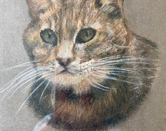 Original Charming amateur portrait of a tabby cat in pastels in attractive colours in original frame 1986  by C Cooke, Cyprus