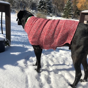 Può includere: Un cane nero indossa un maglione per cani a maglia rosso e bianco, in piedi nella neve. Il maglione ha una trama a coste e copre la schiena e i lati del cane. Il cane è all'aperto in una giornata di sole.