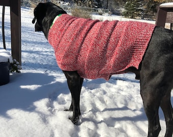 Großes Rasse-Seidenstich-Hundepullover-Muster