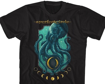 Vintage A Perfect Circle Thirteenth Step T-shirt - Etsy