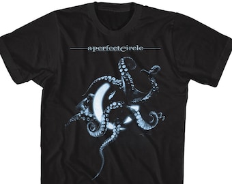 Vintage A Perfect Circle Thirteenth Step T-shirt - Etsy