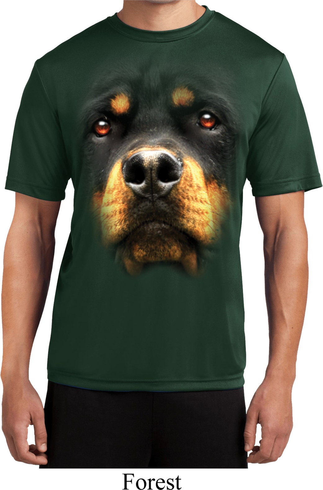 Big Rottweiler Face Men's Moisture Wicking Tee T-shirt-18070d0