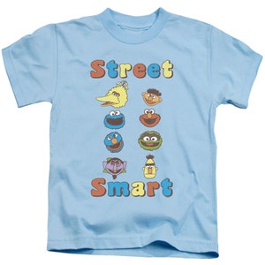 May include: Light blue t-shirt with a Sesame Street theme. The shirt features the text "Street Smart" in colorful letters and images of Big Bird, Cookie Monster, Elmo, Bert, Ernie, Count von Count, and Oscar the Grouch.