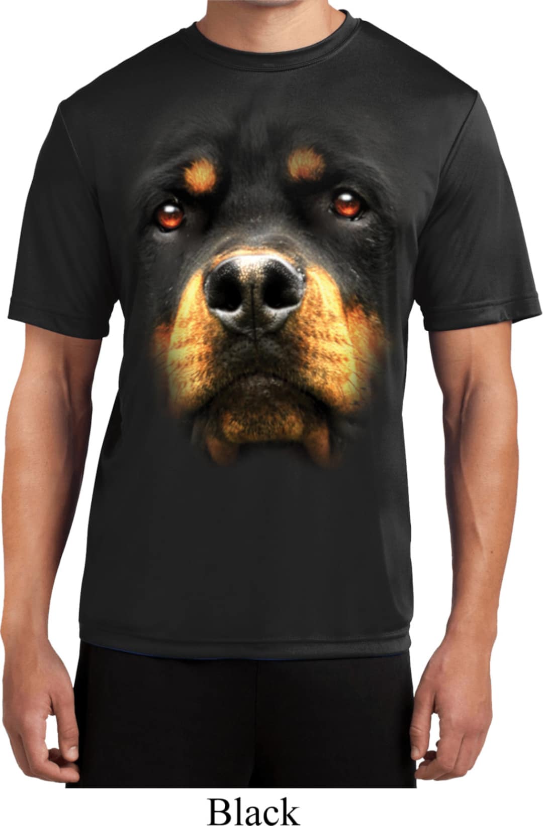 Big Rottweiler Face Men's Moisture Wicking Tee T-shirt-18070d0