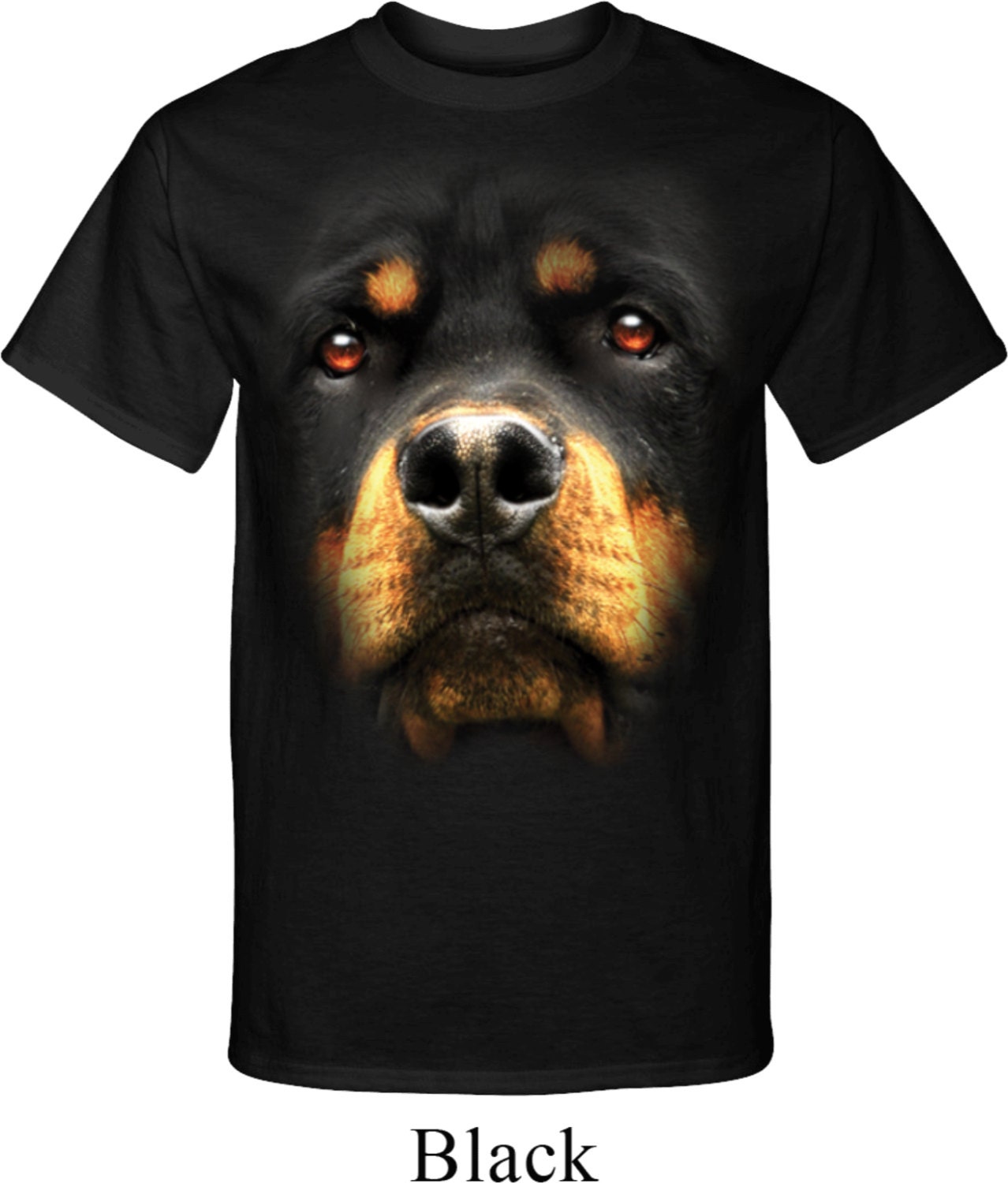Big Rottweiler Face Tall Tee T shirt 18070D0 PC61T Etsy Australia