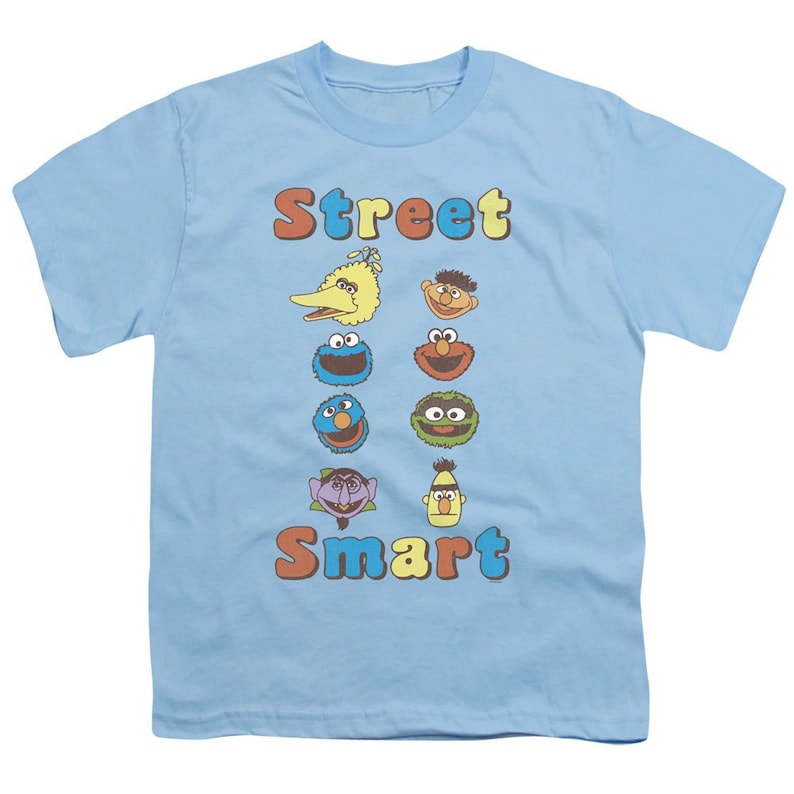 May include: Light blue t-shirt with a Sesame Street theme. The shirt features the text "Street Smart" in colorful letters and a vertical row of Sesame Street characters' faces.
