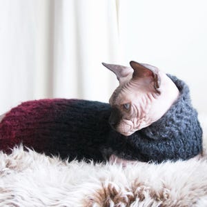 Pode incluir: Um gato Sphynx usando um suéter de malha em tons de preto e bordô, deitado em uma superfície fofa de cor creme. O suéter do gato tem um efeito gradiente. O logotipo "PURRINGPYJAMAS" é visível no canto inferior esquerdo.