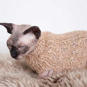 Pode incluir: Um gato Sphynx veste um suéter de malha grossa na cor castanho claro com textura canelada. O suéter cobre o tronco e possui gola alta, proporcionando um ajuste justo para o felino sem pelos. O padrão da malha é solto e texturizado.
