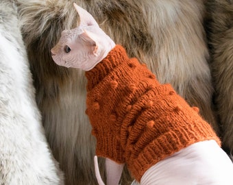 orange cat sweater