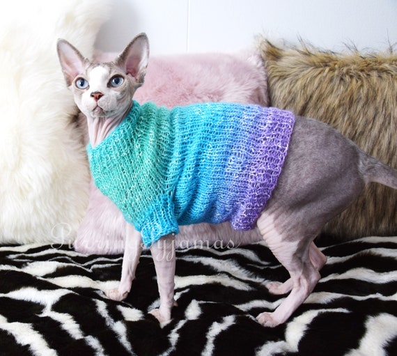 hairless cat with sweater