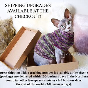 May include: A Sphynx cat wearing a knitted sweater in shades of purple and green sits in a cardboard box. The text "SHIPPING UPGRADES AVAILABLE AT THE CHECKOUT!" is visible at the top of the image.