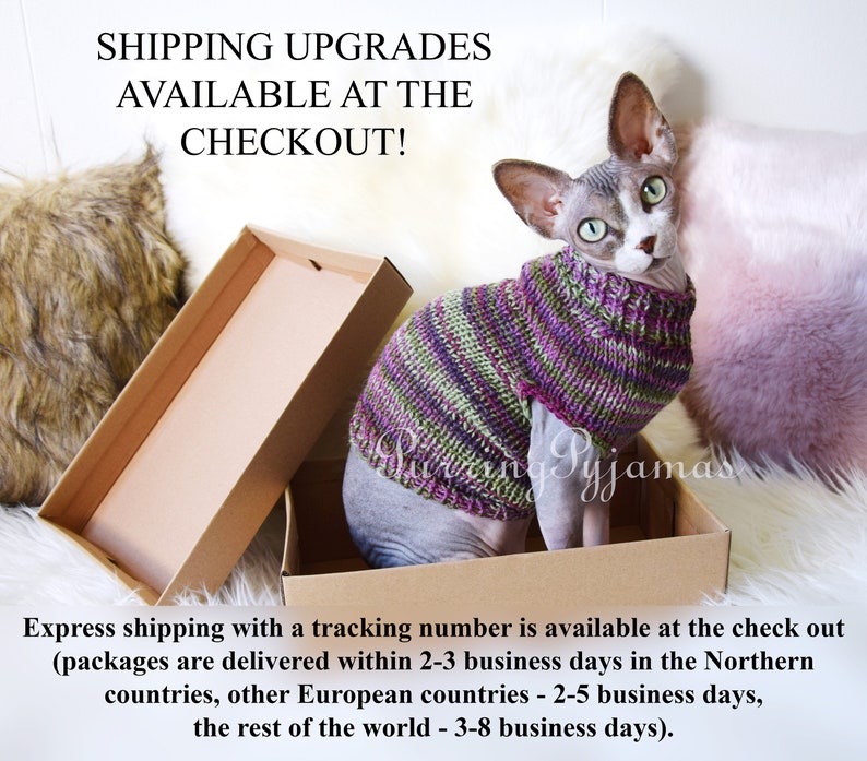 May include: A Sphynx cat wearing a knitted sweater in shades of purple and green sits in a cardboard box. The text "SHIPPING UPGRADES AVAILABLE AT THE CHECKOUT!" is visible at the top of the image.