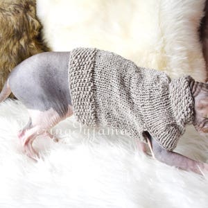 Sphynx clothes, sphynx sweater, cat clothes, cat sweater, sweater for sphynx, sweater for cat, sphynx cat clothes, cat lover gift, sphynx image 6