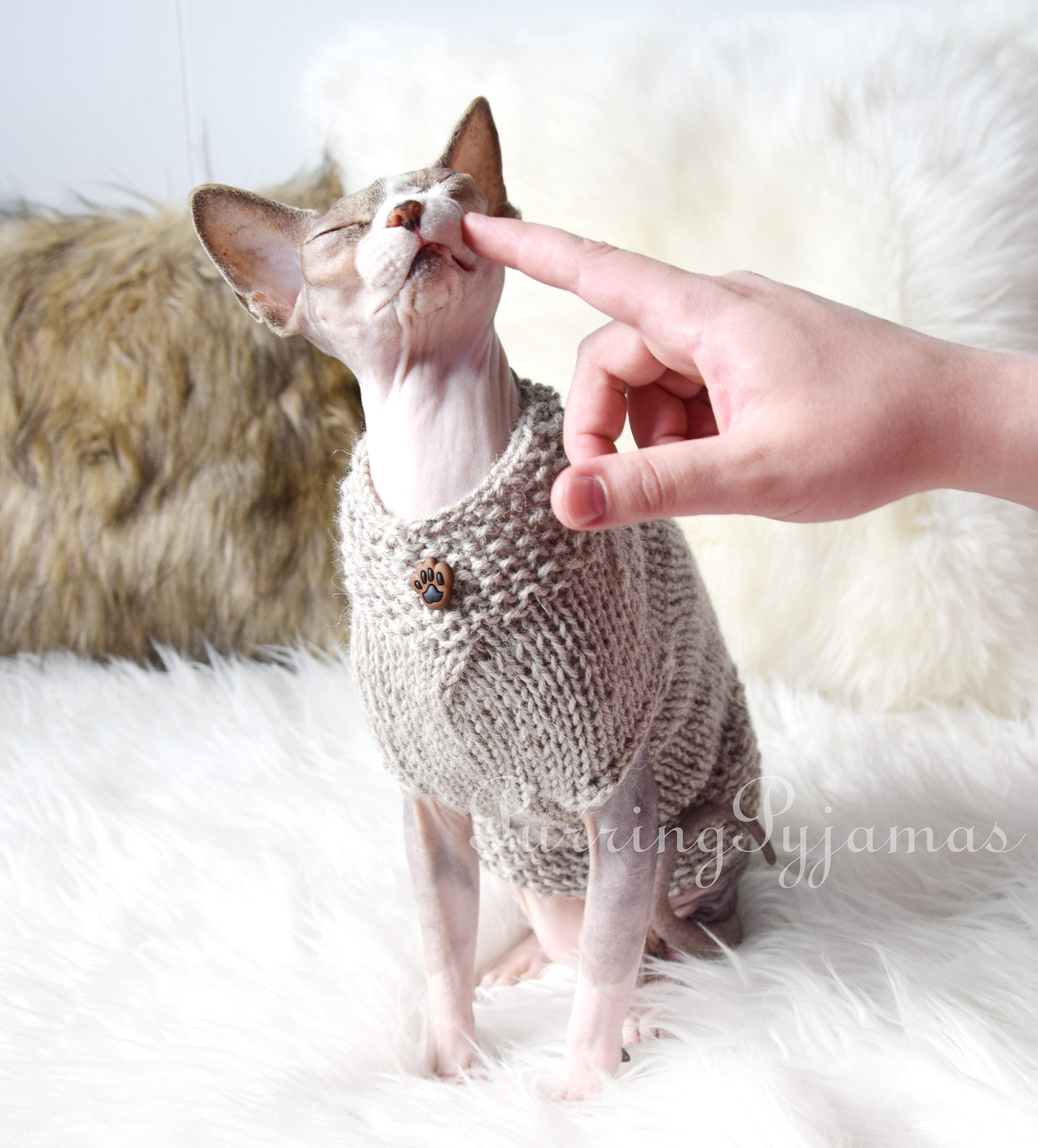 Cat Clothes Sweater For Kitten Small Dogs Cats Winter Knit Clothing Warm  Soft And High Stretch, Fit Pet Male Female Xl 10in
