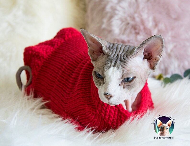 Cat Dress Sphynx Dress Pet Dress Dress for Cat Sphynx Cat Etsy