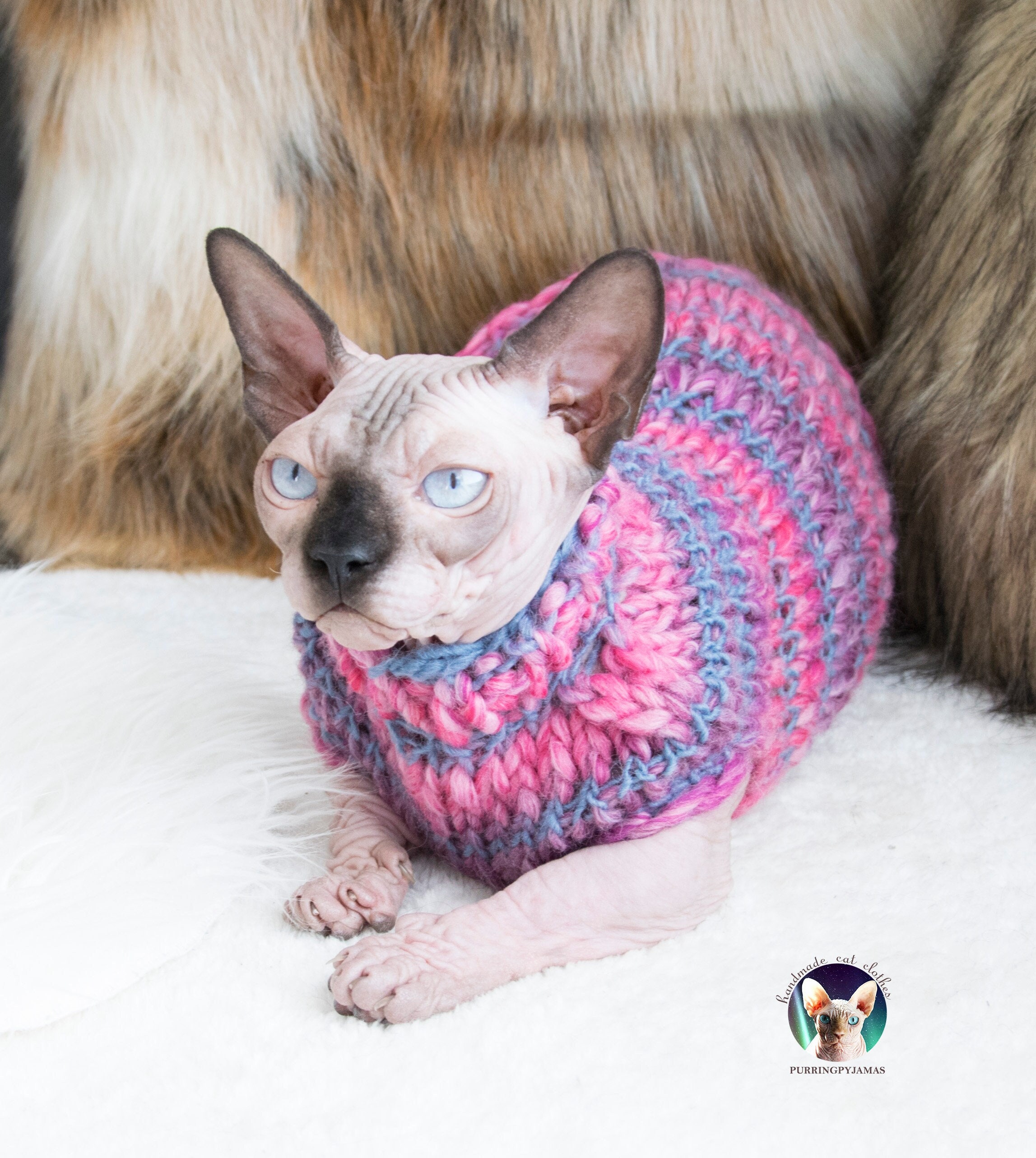 Designer Cat Sweater | LV Sweater for Sphynx, Designer Sweater