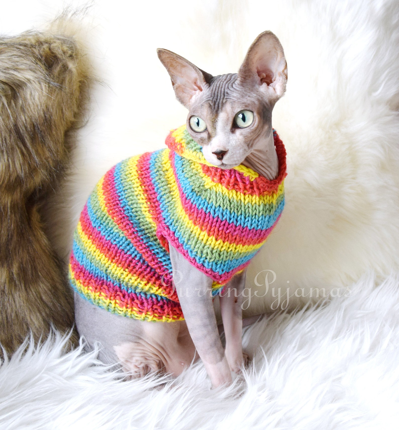 Cat Clothes Sphynx Clothes Sphynx Sweater Cat Sweater Etsy Australia