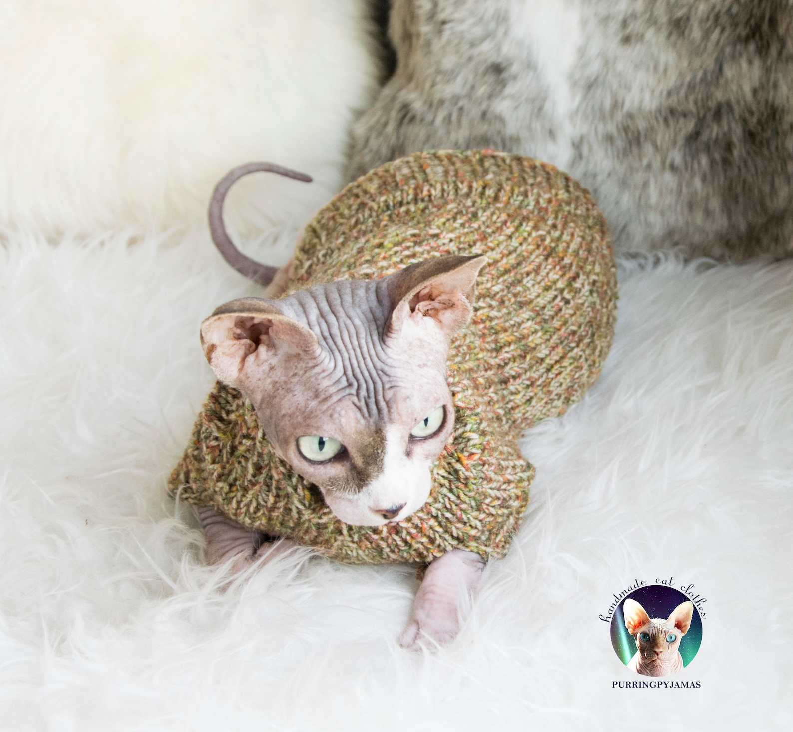 Sphynx cat clothes sphynx cat sweater sweater for sphynx Etsy