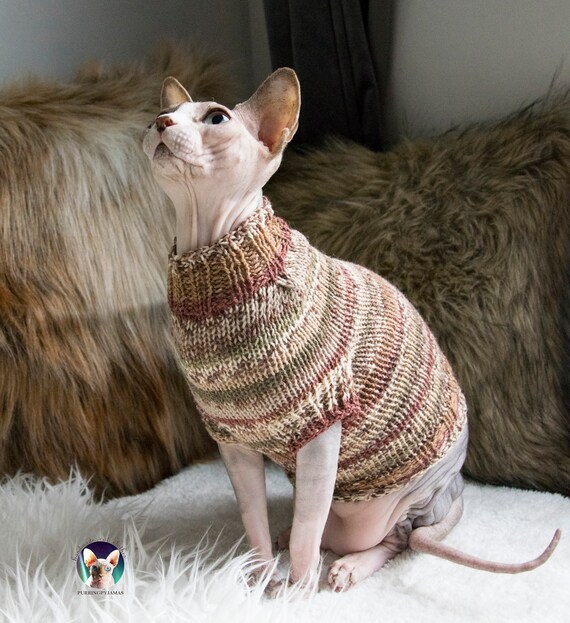 Pull l ger pour chat pull pour chat ray pull sphynx ray
