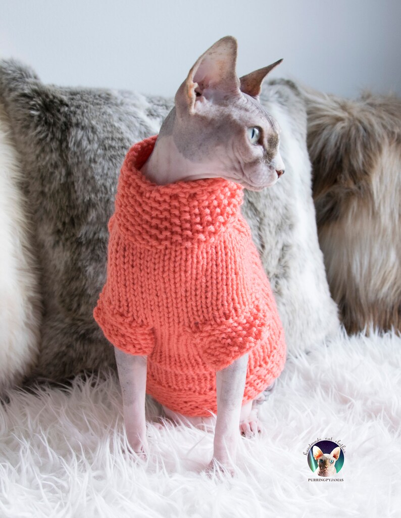 Soft sphynx sweater, sphynx sweater, sweater for sphynx, cat gift, sphynx gift, cat lover gift, clothes for sphynx, sweater for cat image 3