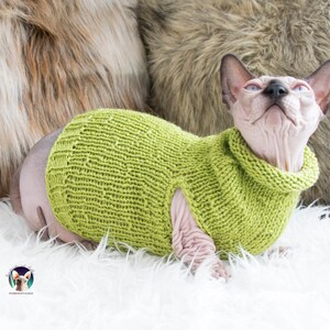Green cat clothes, green sphynx clothes, green sphynx sweater, green cat sweater, sweater for cat, sweater for sphynx, sphynx cat clothes