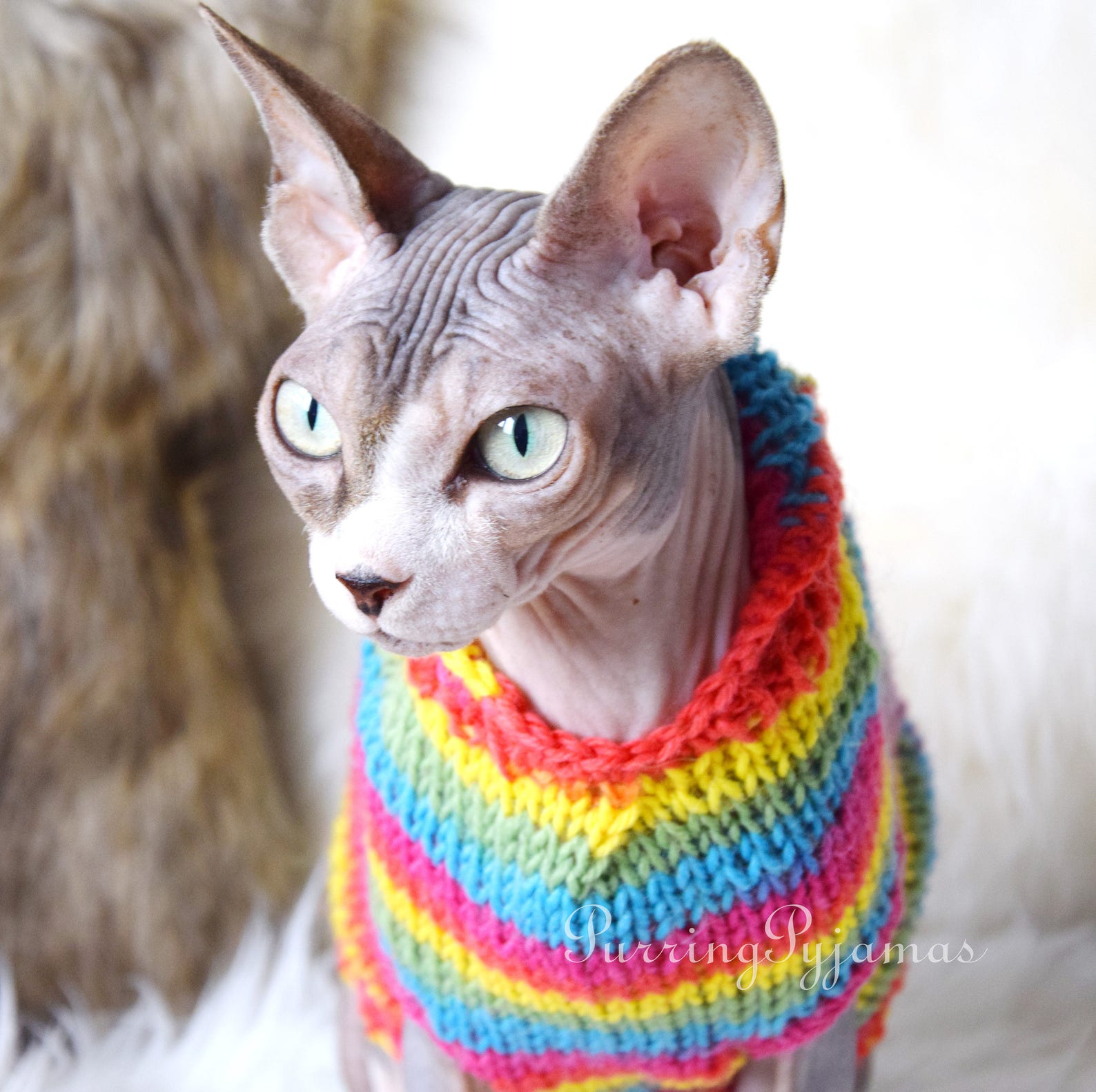 Cat clothes sphynx clothes sphynx sweater cat sweater Etsy
