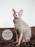 Sphynx Cat Sweater, Handknit Kitty Jumper, Wool Cat Clothes, Soft Cat Outfit, Pet Sweater, Warm Sphynx Cat Clothing, Cat Lover Gift