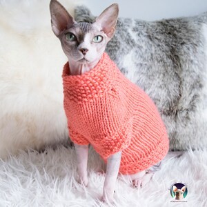 Soft sphynx sweater, sphynx sweater, sweater for sphynx, cat gift, sphynx gift, cat lover gift, clothes for sphynx, sweater for cat image 7
