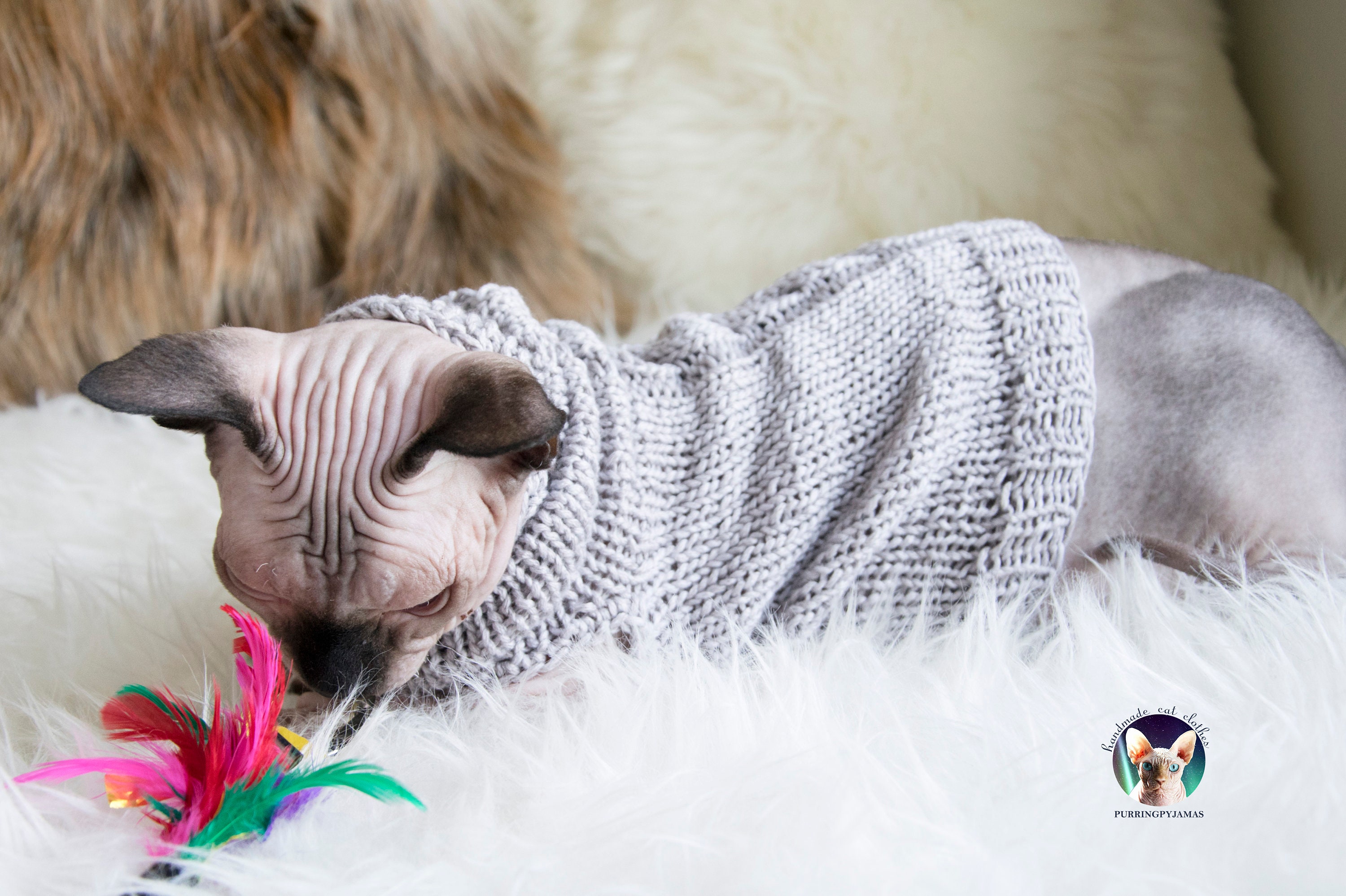 Yak Sphynx Clothes Yak Cat Clothes Yak Sphynx Sweater Yak Etsy UK