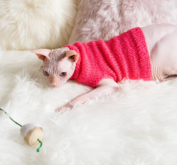 Nieuw Kat trui Sphynx trui kat kleren Sphynx kleding trui voor | Etsy WA-55