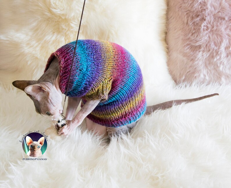 Sphynx Clothes Clothes for Sphynx Cat Clothes Clothes for Etsy