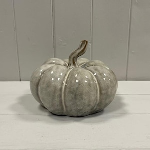 May include: A decorative ceramic pumpkin ornament featuring a glossy, mottled grey and white finish. The object has a rounded, segmented body with deep vertical grooves and a curved, tapered stem extending from the centre top of the piece.