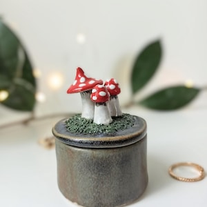 Op de afbeelding: Een cilindrische keramische pot met deksel en een donkergrijs-groen glazuur. Het deksel is voorzien van drie gebeeldhouwde rode paddenstoelen met witte stippen die uit een textuurrijke, mosachtige groene basis omhoog komen.