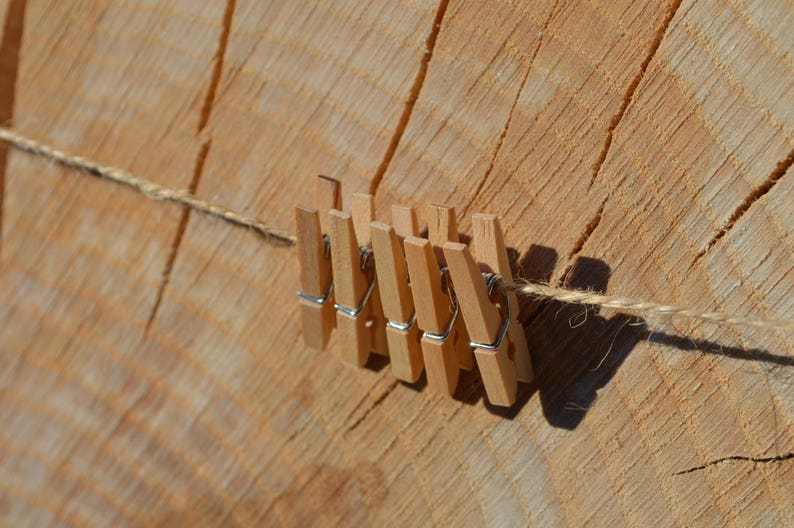 20x mini wooden pegs and twine, picture pegs, hanging pegs, wooden pegs, picture display, rustic picture display. image 3