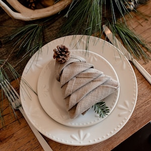 Puede incluir: Un plato blanco para cenar con un plato blanco más pequeño dentro. Una servilleta de lino marrón está doblada en forma de árbol de Navidad en el plato más pequeño. Un pequeño cono de pino se coloca encima de la servilleta.