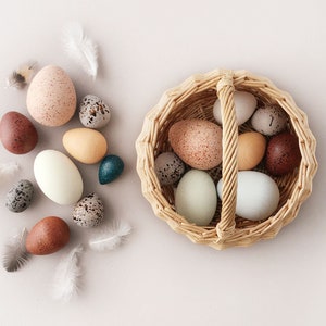 Moon Picnic - A Dozen Bird Eggs in a Basket