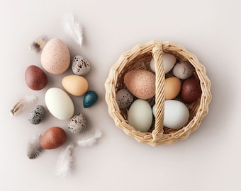 Moon Picnic - Una docena de huevos de pájaro en una canasta