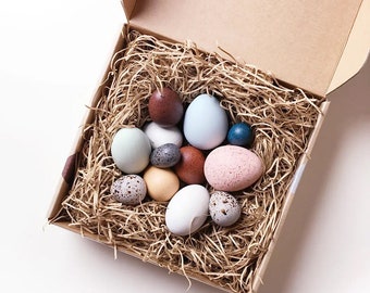 A Dozen Bird Eggs in a box
