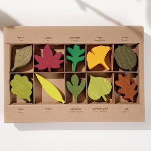 Woodland Leaves for Nature Play