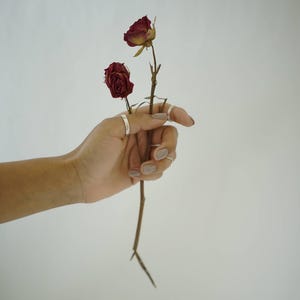 Silver 16 gauge hammered rings on hand holding dry rose