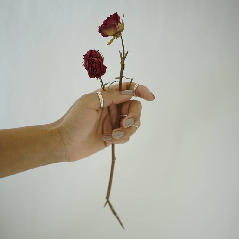 Silver 16 gauge hammered rings on hand holding dry rose