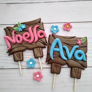 Puede incluir: Dos adornos para tartas con los nombres "Noella" y "Ava" en rosa y azul, respectivamente, sobre letreros de madera marr&oacute;n. Los letreros est&aacute;n decorados con flores azules y rosas. Los adornos est&aacute;n sobre palitos.