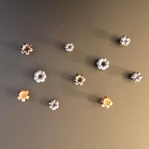 May include: A collection of ten silver and gold-colored metal bullet casings, each with a star-shaped design. The casings are arranged in a semi-circle on a gray surface.