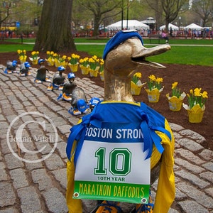 2023 Boston Marathon Make Way For Ducklings - Boston Public Garden - Duck Print - One Boston Day - Choose Unframed or Framed PRINT or CANVAS