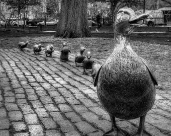 Make Way For Ducklings Art Sculpture  - Boston Public Garden - Boston Black and White Art in Print or Canvas - FREE SHIPPING