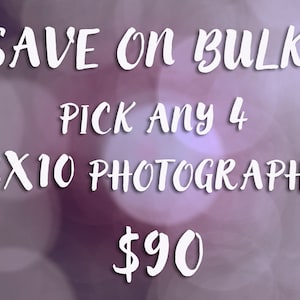 8x10 Print Set, Pick Your Photos, Set of 4 Fine Art Photographs, Wall Art Set, set of four 8x10, Print Set, 8x10 Print Set of 4,Wall Collage