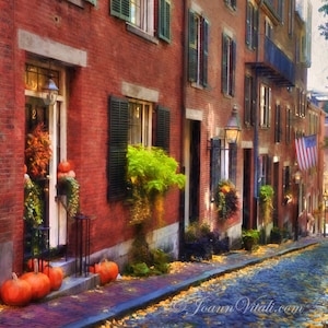 May include: A narrow, cobblestone street lined with brick buildings in a city. The buildings have windows with shutters and some have potted plants. There are pumpkins on the ground in front of one of the buildings. The street is covered in fallen leaves.